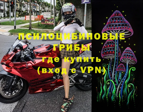 кокс Ладушкин