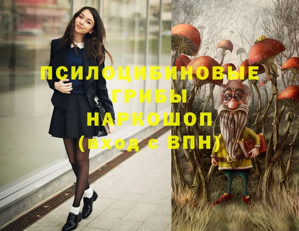 кокс Ладушкин